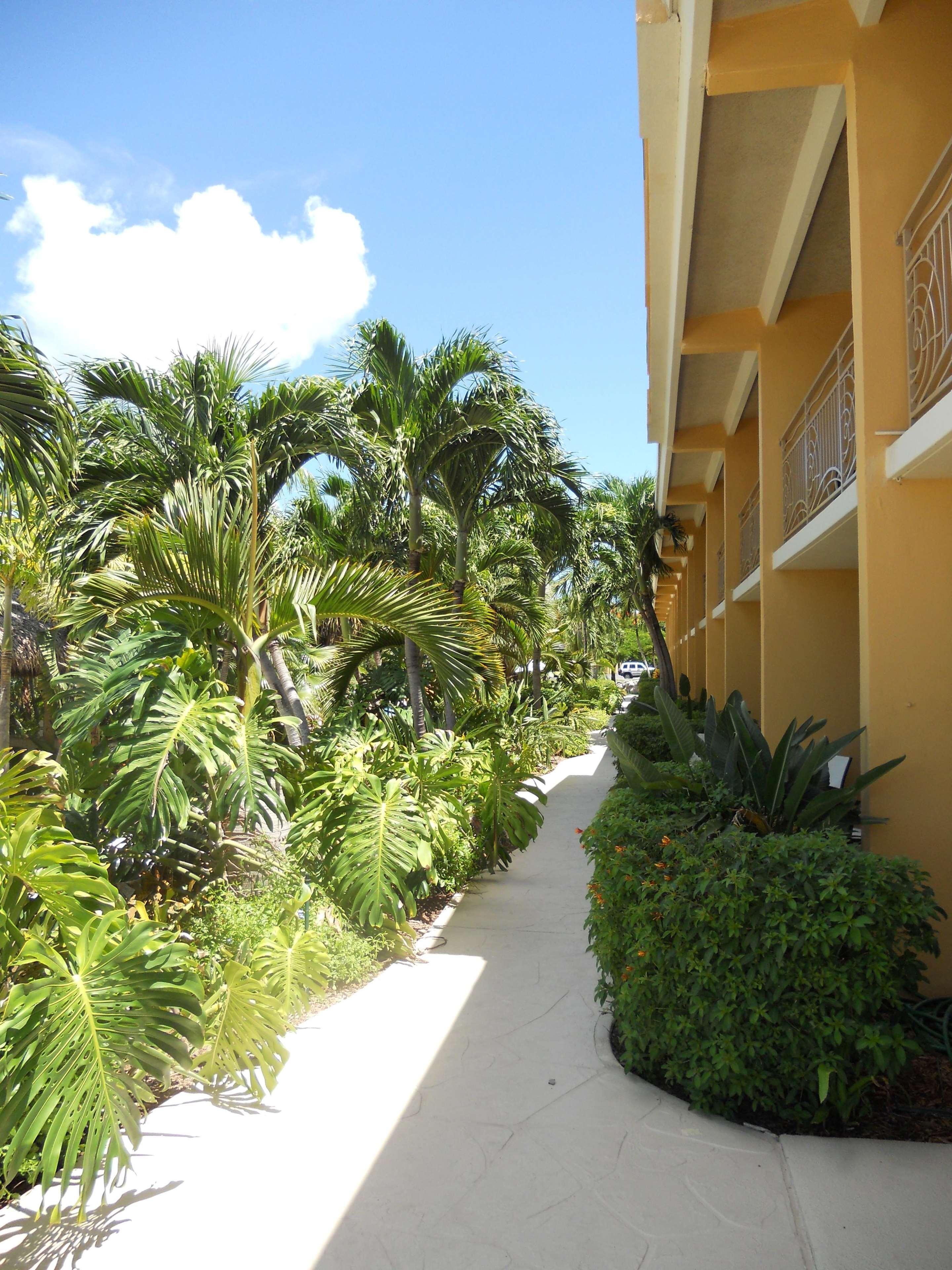 Hampton Inn Key Largo Exterior foto